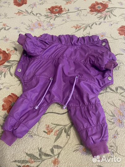 Одежда для собак