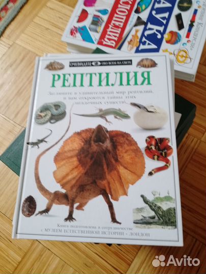 Дорлинг киндерсли. Рептилия