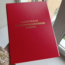 Помощь студентам зоотехнического факультета, всэ, Пинск