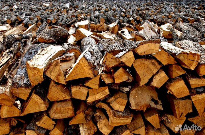 Дрова в сетках