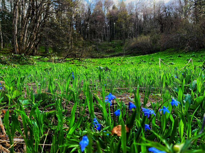 Участок 2,8 га (СНТ, ДНП)