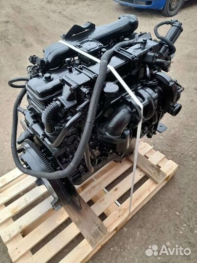 Д-245.Евро3. Дизель