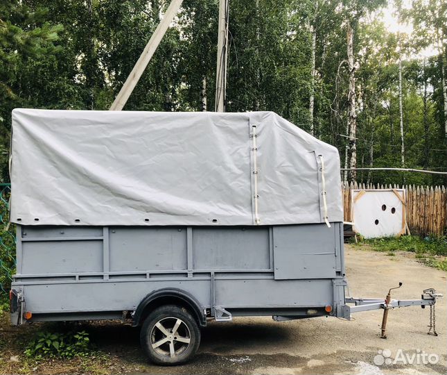 Коневоз (конеперевозки) Аренда