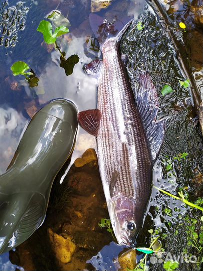 Блесна fora 29