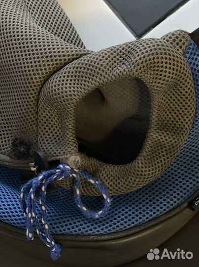 Сумка переноска для кошек и собак