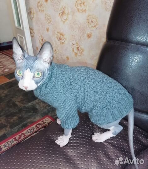 Кофта, комбинезон, шапочка для собак, кошек