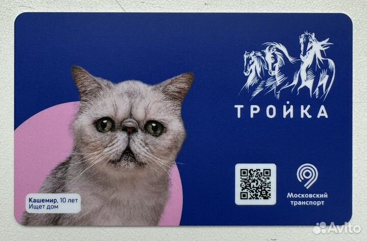 Карта Тройка Кошки Собаки