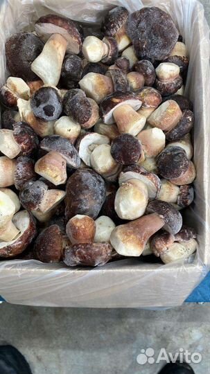 Свежезамороженный Белый гриб (цельный) 1 сорт