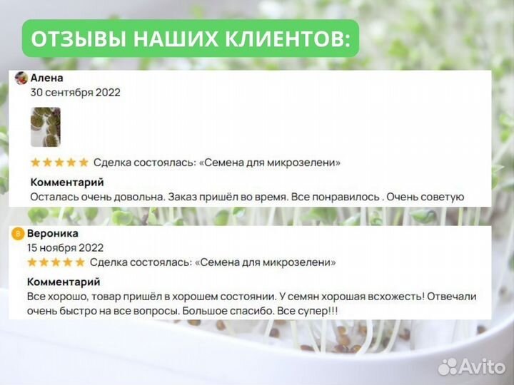 Чёрный тмин для проращивания микрозелени