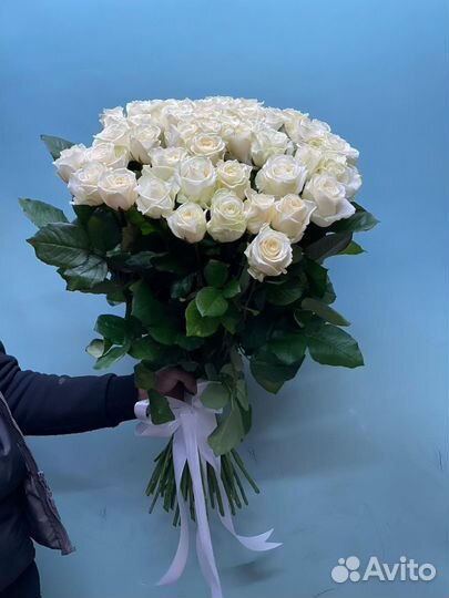 Белая роза прекрасная