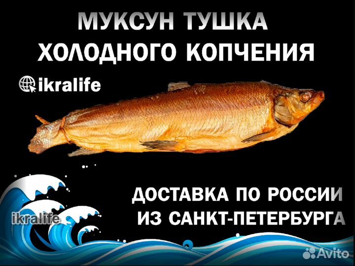Рыба Муксун тушка холодного копчения. Доставка