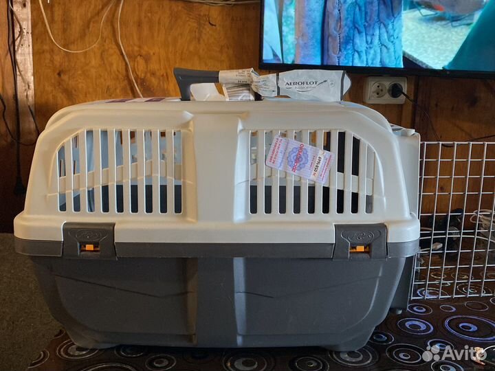 Бокс для собак