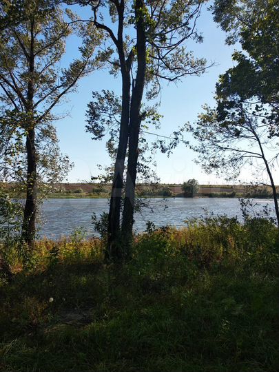 Участок 44,5 сот. (ИЖС)