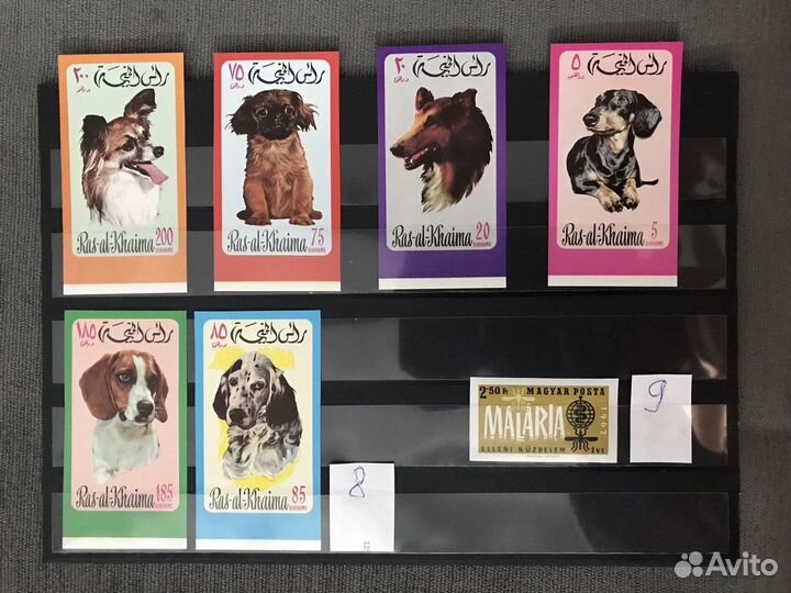 Марки разных стран. Животные. Фауна