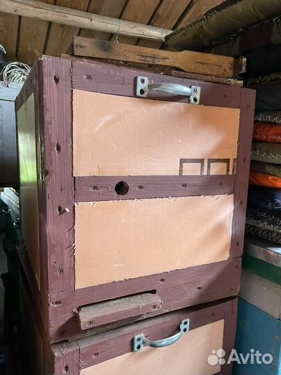 Большие Нуклеусы