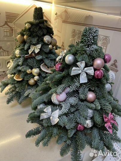 Елка из нобилиса