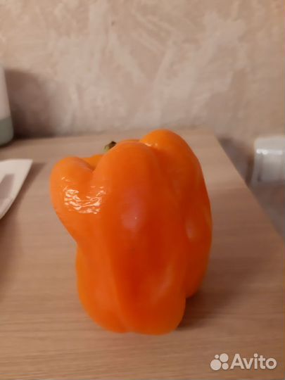 Семена сладкого перца 