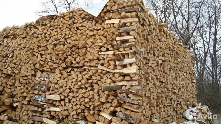 Дрова березовые