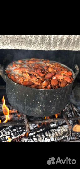 Живые раки