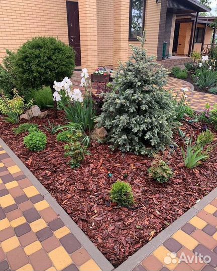 Мульча кора лиственницы