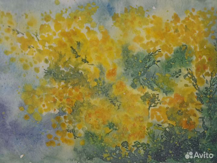 Открытка акварелью. Мимоза