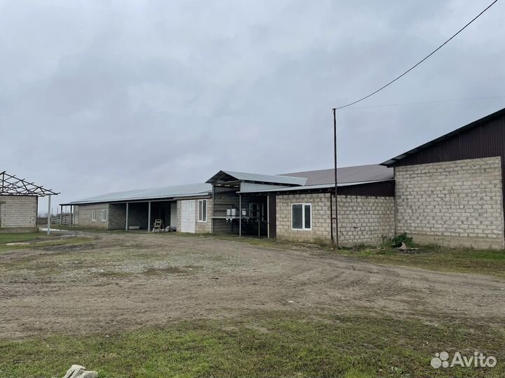 Ферма сельскохозяйственная