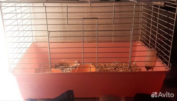 Клетка для грызунов большая