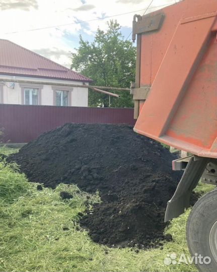 Чернозем