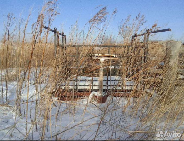 Весы для животных