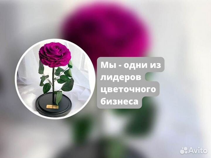 Роза в колбе. Качественная