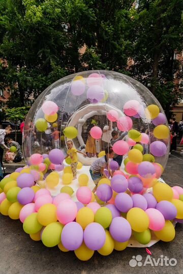 Аренда Фотозоны bubble house бабл хаус