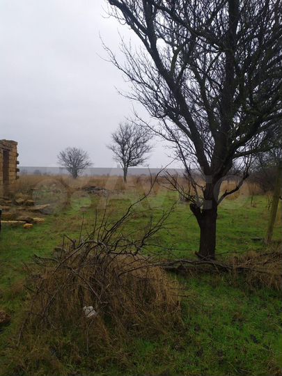 Участок 25 сот. (ИЖС)