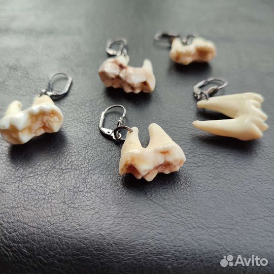Сережки зуб
