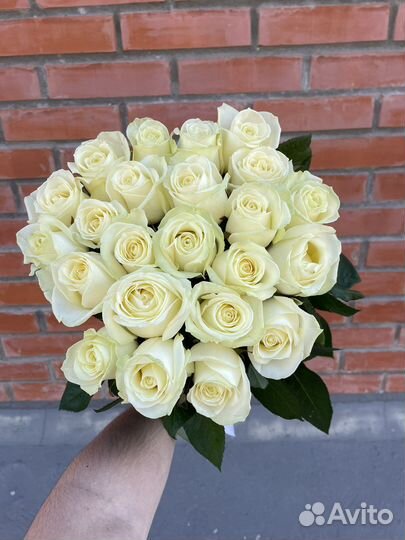 Белая роза Голландия. Букеты из роз