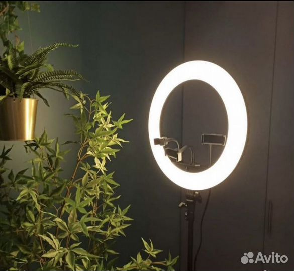 Кольцевые лампы 26/33/36/46/54см