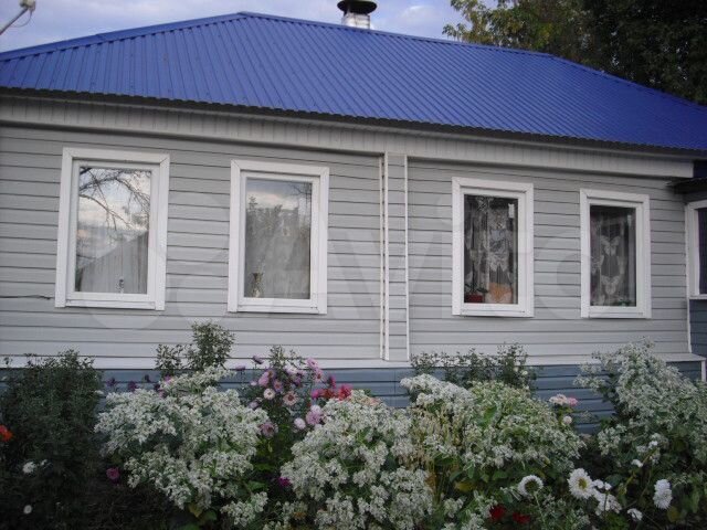 Пригородный воронежская. Пригородный Воронежская область. Село Пригородный Воронежская область. Ширяево Воронежская область пер. 2 Ленинский дом 1. Воронежская область Калачевский район село Ширяево дом 16.