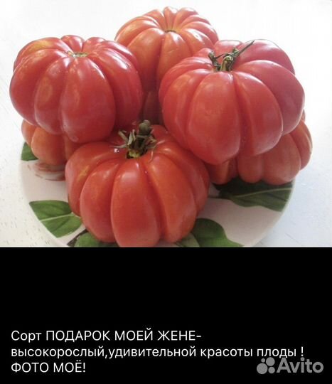 Коллекционные семена томатов