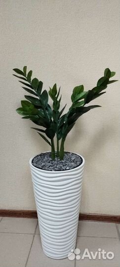 Замиокулькас (долларовое дерево) искусственный