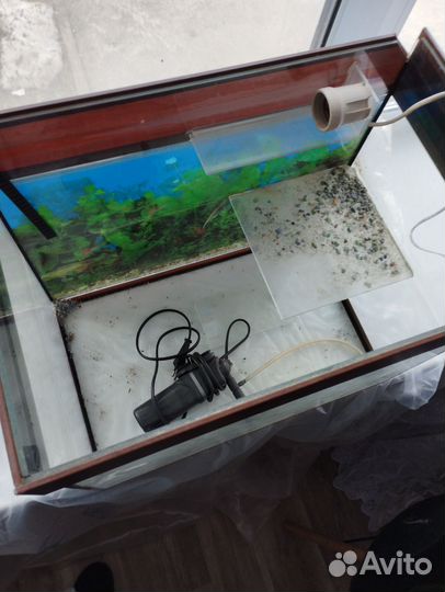 Аквариум