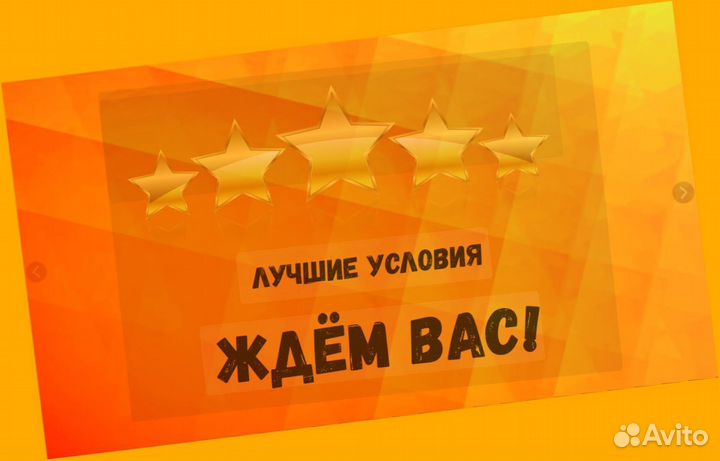 Жиловщик мяса Вахта Жилье+Еда Еженедельный аванс М/Ж