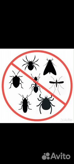 Уничтожение насекомых/Устранение запахов