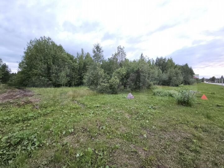 Участок 10 сот. (ИЖС)