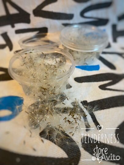 Одуванчик зонтики для творчества