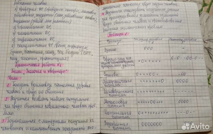 Перепишу конспекты/лекции