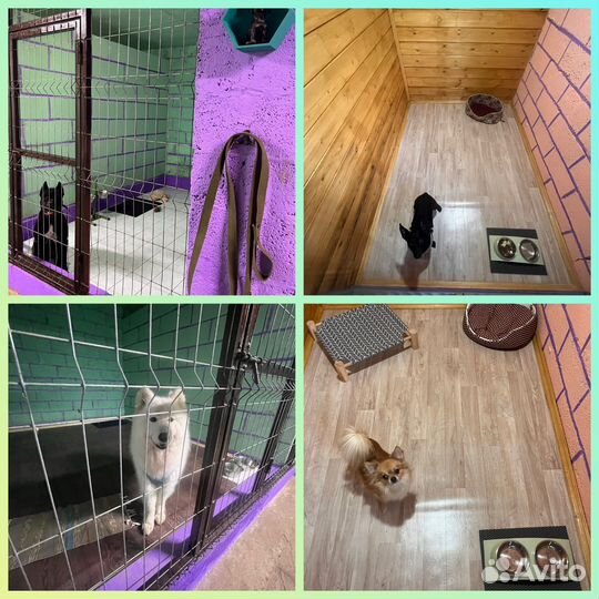 Зоогостиница