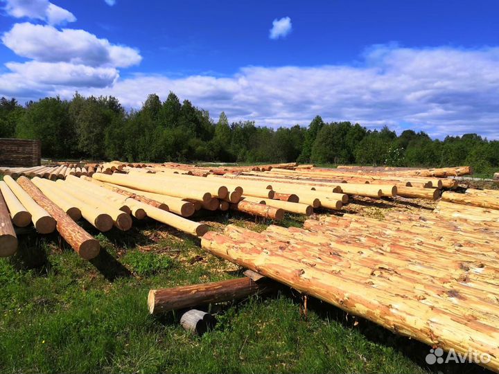 Дома бани из срубов строительство
