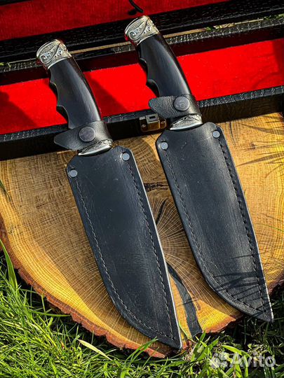 Беркут Кизляр