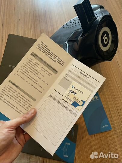 Гироскутер Сигвей chic fairy