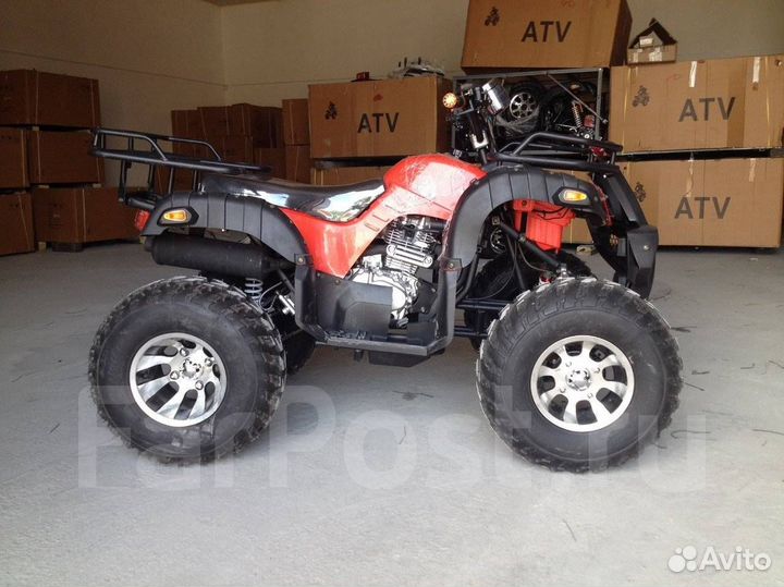 Grizzly 250cc