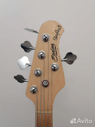 Бас гитара Sterling Music Man S.U.B. Sting Ray 5